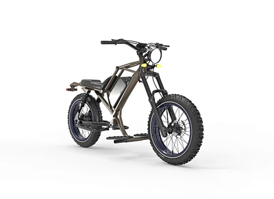 Off-road electric bike 750W  electric bike